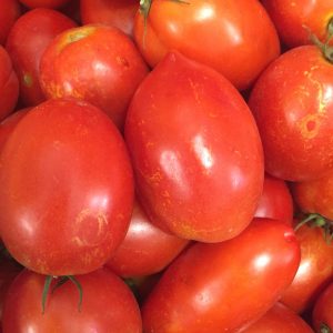 Tomata de pera Bio camí de l'Horta